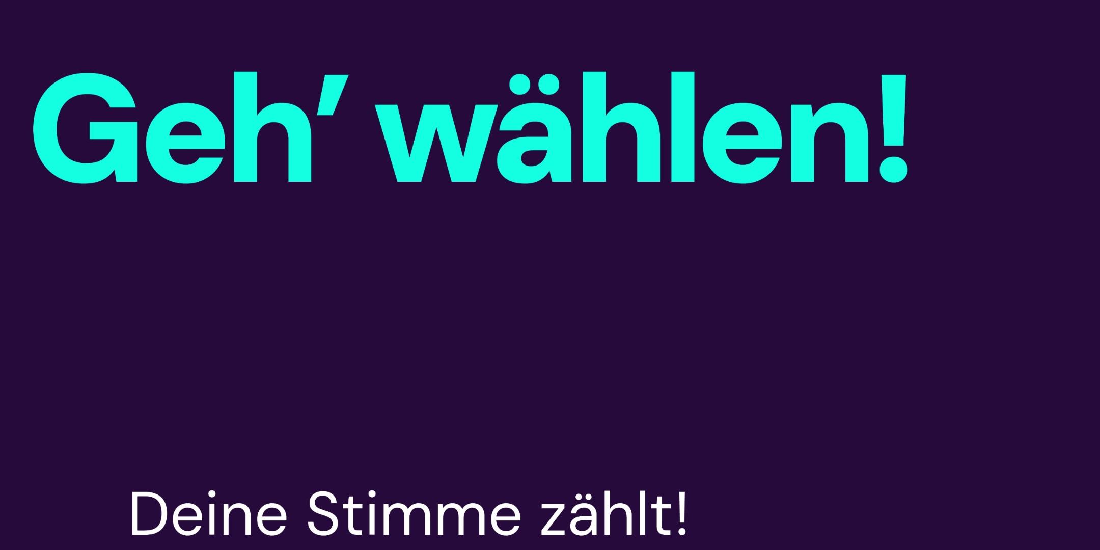Geh wählen_7
